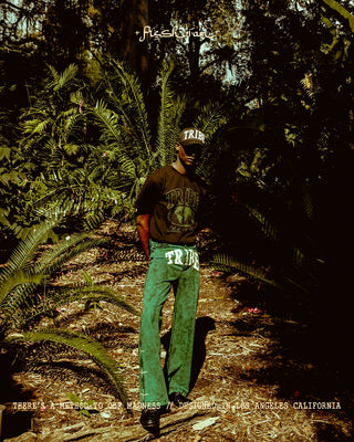 FRESHIAM COLLECTIONS — FRESHIAM + TRIIBE